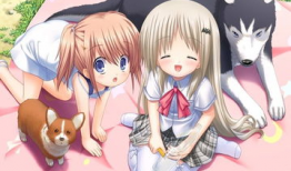 十八禁动漫,揭秘十八禁动漫的神秘世界